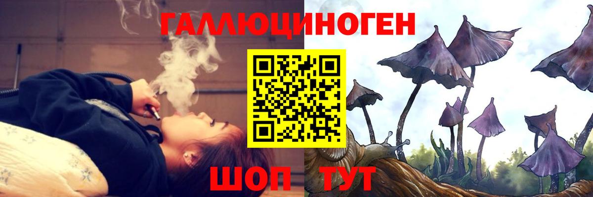 магазин  наркотиков  Вход с VPN  Заречный  Псилоцибиновые грибы Cubensis 